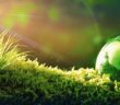 Growth-Equity-Fonds JUNCTION: 100 Millionen Euro für Energy Venture (Foto: AdobeStock - Li Ding)