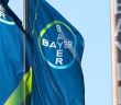 Bayer und RTW investieren Millionen in JIXING für innovative Medikamente in (Foto: AdobeStock - Tobias Arhelger 288401502)