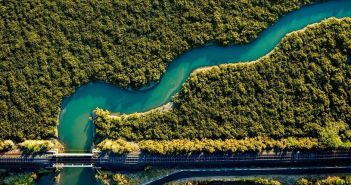 Partnerschaft für erstklassige Renaturierungsprojekte im Mangrovenwald Bahnbrechendes Projekt zur Wiederaufforstung von Mangroven in (Foto: AdobeStock - Wirestock 675017275)