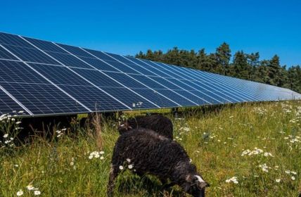 ABO Energy sichert EEG-Zuschläge für drei Solarparks 50 (Foto: ABO Energy GmbH & Co. KGaA)