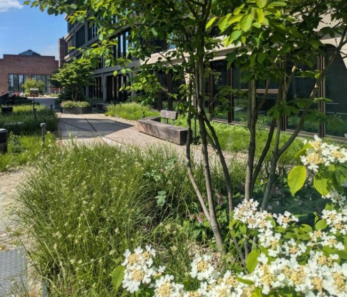 Naturnahe Bepflanzung, Sitzbereiche und kurze Wege (Foto: Levin Monsigny Landschaftsarchitekten)