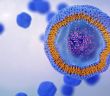 BMWK fördert BASE-Lipid-Initiative mit 13 Millionen Euro für (Foto: AdobeStock - TuMeggy - 839730862)