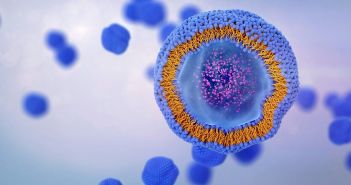 BMWK fördert BASE-Lipid-Initiative mit 13 Millionen Euro für (Foto: AdobeStock - TuMeggy - 839730862)